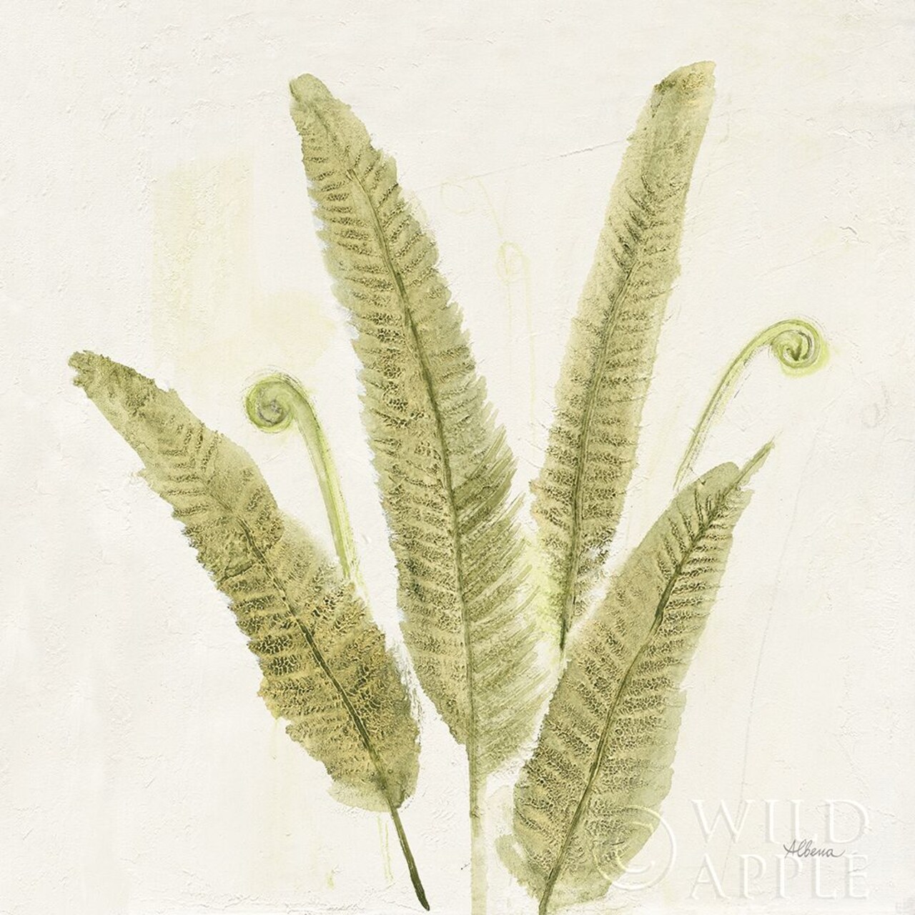 Forest Ferns Ii V2 Poster Print by Albena Hristova - Item # VARPDX36988